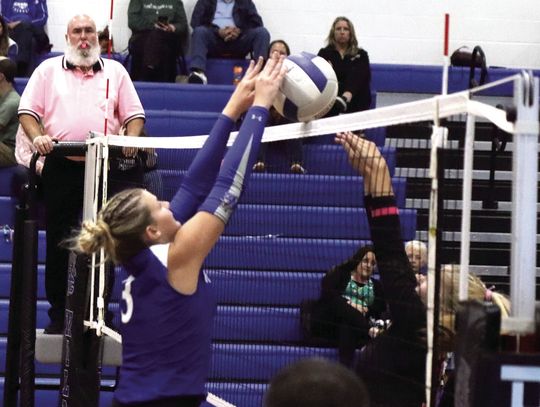 Draft Outlasts Wildcats