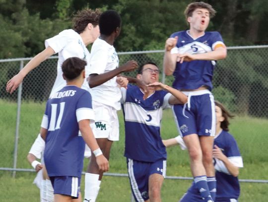 Dragons Slay ‘Cats, 4-0