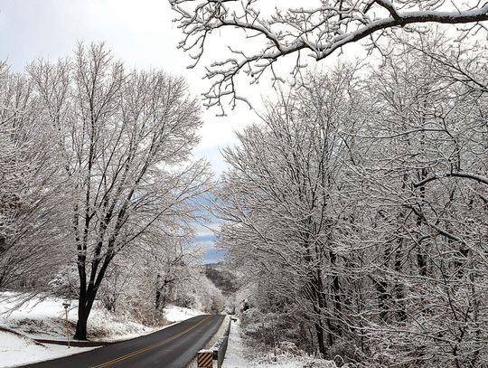 Dress Rehearsal For A White Christmas?