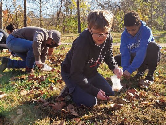 Eco-Citizens in Action