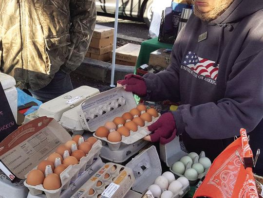 Egg Prices No Yoke