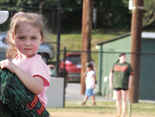 Evenings At The Ball Field