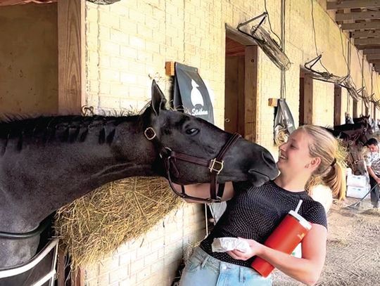 Exploring Her Equine Options