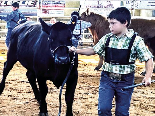 Family 4-H Traditions Continue At Fair