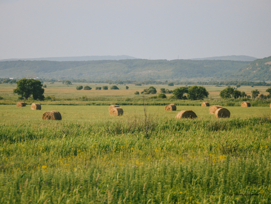 Farm Credit Offering Grants To Nonprofits
