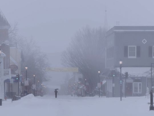 Fern Leaves Ice, Cold