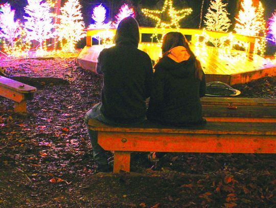 Festival Of Trees, Luminary Nights Return to NBSP