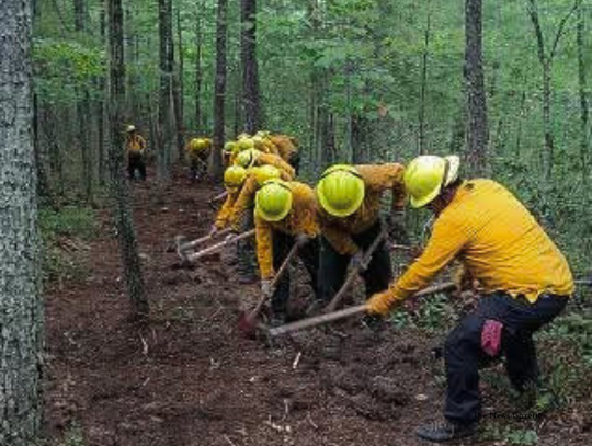 Forest Fire Fully Contained