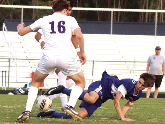 Fox Leads RC Comeback