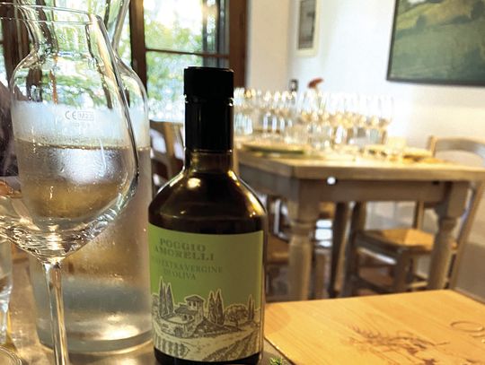 Fruit Of The Vine In Tuscany