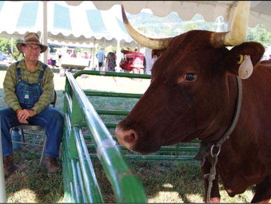 Full Days At The Fair