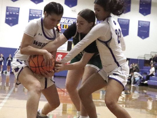 Gladiators Edge Wildcats, 46-44