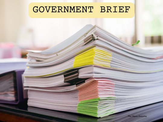 Government Brief