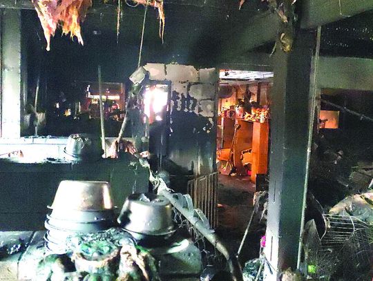 Grooming Business Destroyed