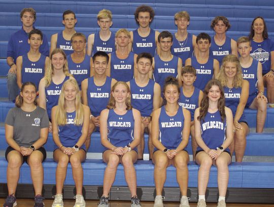 Harriers Have Experience