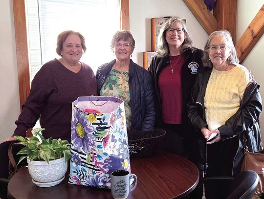 Helping Project Horizon