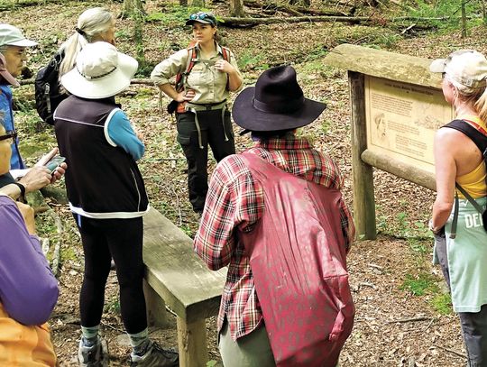 History Hike To Freedmen’s Settlement