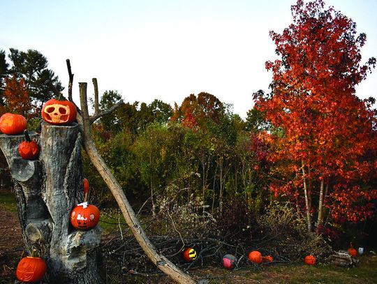 Hoards Of Gourds