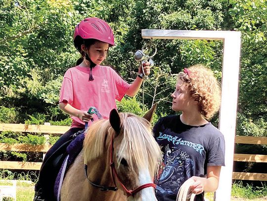 Hoofbeats Slates Volunteer Training