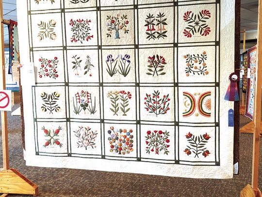 Hundreds View Fair Quilt Show