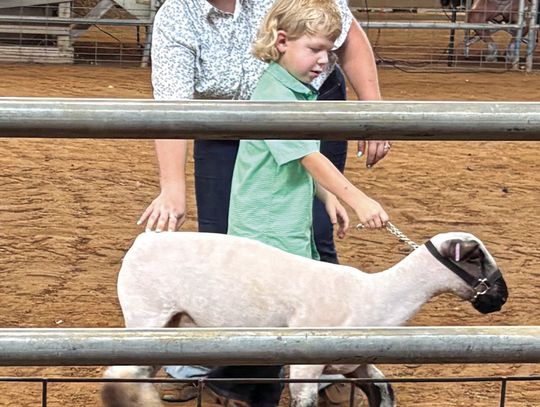 ‘I Showed My Lamb!’