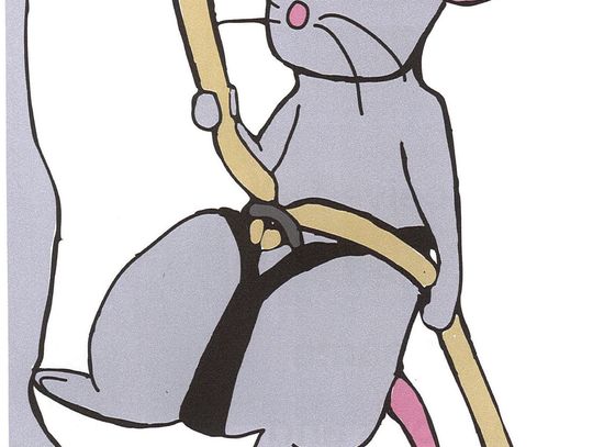 If A VMI Rat