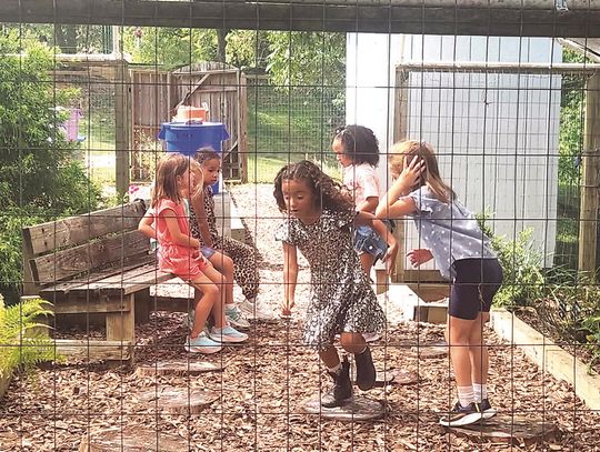 In The Sensory Garden