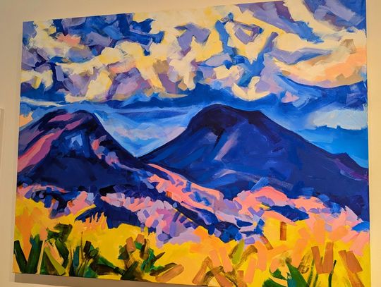 Interviews with Local Artists