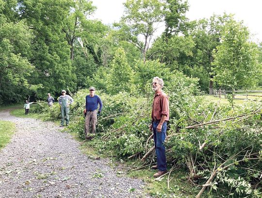 Invasive Plants Be Gone!