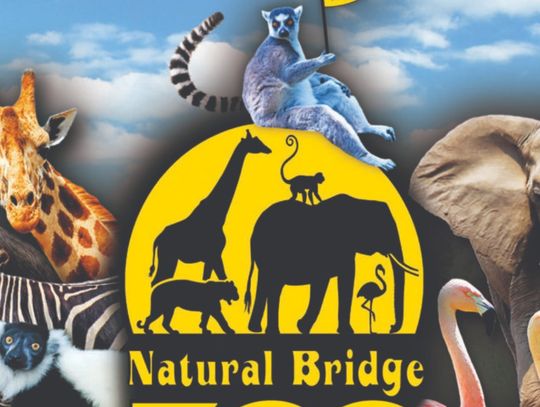 Judge Denies Motions In Zoo Cases