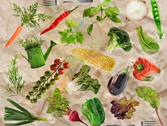 Kitchen Garden Workshop At Jackson House