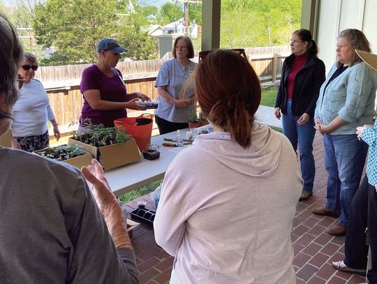 Kitchen Garden Workshop At Jackson House