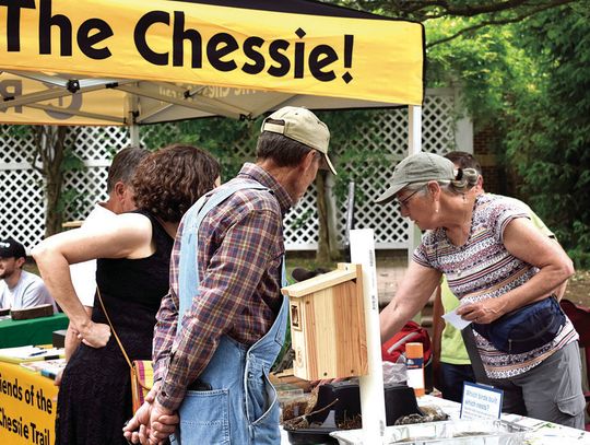 Learning About Conservation