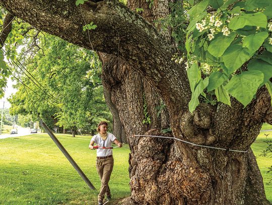 Lexington Tree A Co-State Champion