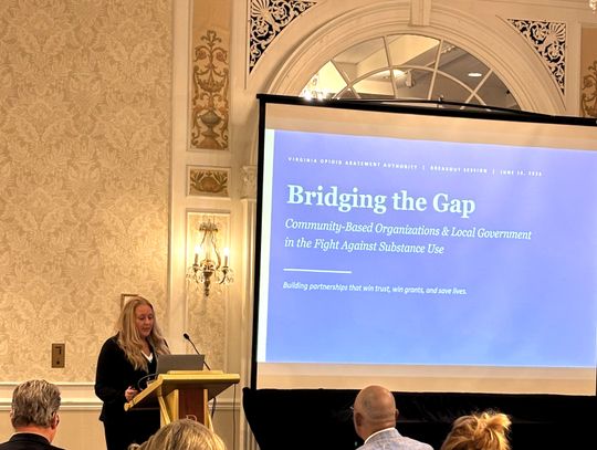 Local Recovery Program Statewide Model