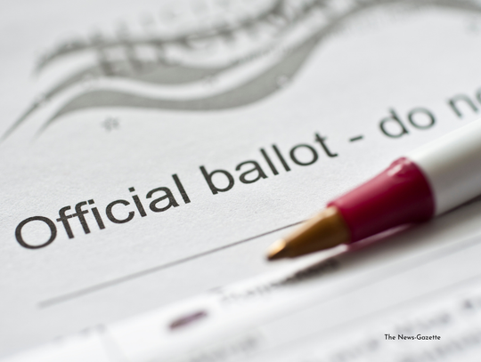 Local Seats On Ballots This Fall