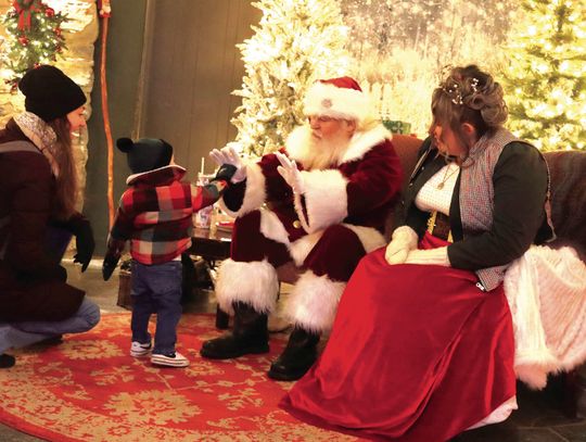 Luminary Nights 2024