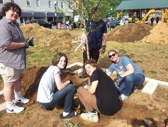 Making The City Greener