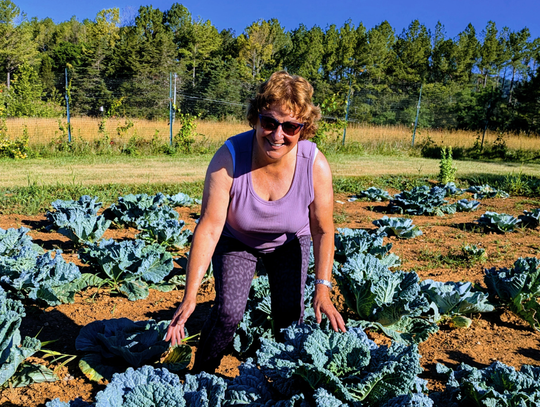 Master Gardeners Offer Drought Tips