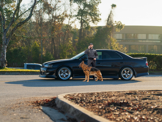 Multiple Drug Busts Reported