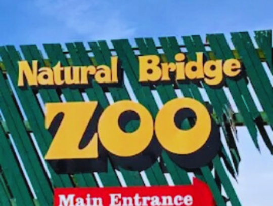 NB Zoo Owner Reports To Jail