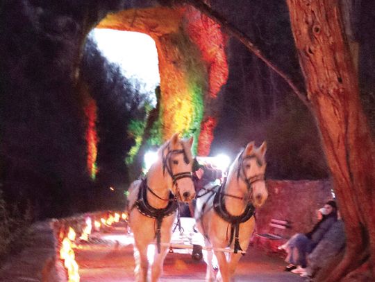 One More Luminary Night Saturday