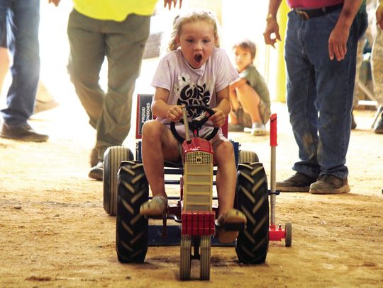 Peddling At The Fair