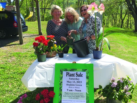 Plant Sale Marks 20 Years