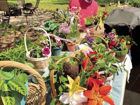 Plant Sale Prep