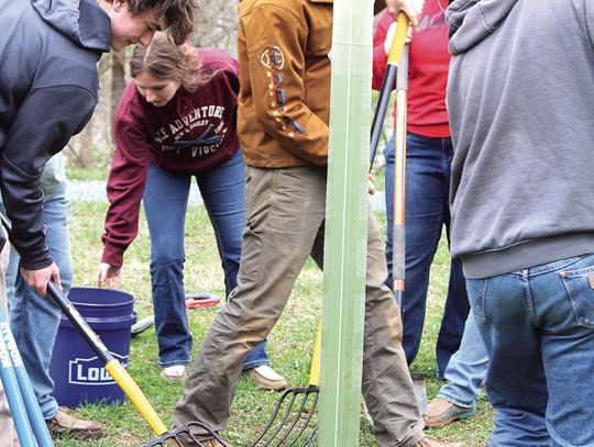 Planting At Jordans Point