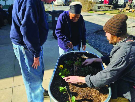 Planting At MRSC