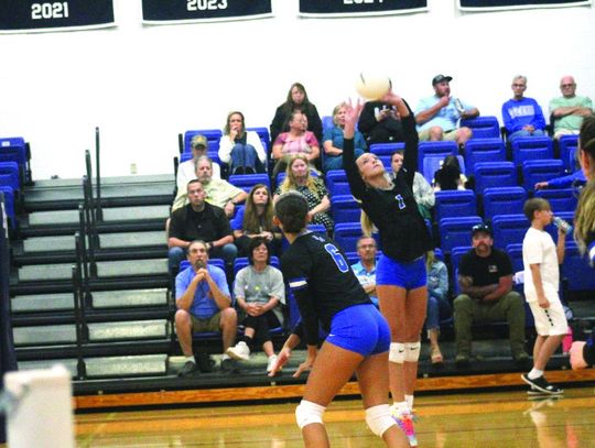 PM Falls To Nelson In Thriller