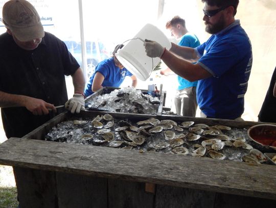 Bull & Oyster Fest Ends 19-Year Run