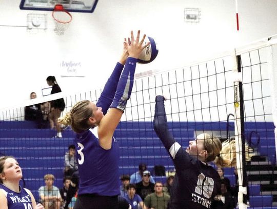 RC Netters Defeat Staunton